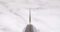 Hayabusa Gyuto VG-10 Tsuchime Damascus Ebony 240mm (9.4") -Sharp Edge Shop Hayabusa Gyuto VG 10 Tsuchime Damascus Ebony 240 mm 420103161676 3