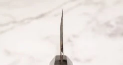 Kawamura Sakimaru-Gyuto Aogami #2 Damascus 220mm (8.7") [ebony] -Sharp Edge Shop Kawamura Sakimaru Gyuto Aogami 2 Ebenovina 220 mm 450103141132 3