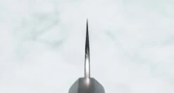 Yu Kurosaki Gyuto Fujin SG2 210mm (8.3") -Sharp Edge Shop KurosakiGyutoFujinSG2210mm 410103121518 3