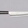 Nigara Gyuto SG2 Migaki Tsuchime 240mm (9.4") [Ebony] -Sharp Edge Shop NigaraGyutoSG2MigakiTsuchime240mm 9.4 420103161589 1