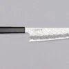 Nigara Gyuto VG-10 Damascus Tsuchime 210mm (8.2") -Sharp Edge Shop NigaraGyutoVG 10DamascusTsuchime210mm 420103121586 1
