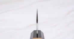 Nigara Kiritsuke-Gyuto SG2 Tsuchime Wa 210mm (8.3") -Sharp Edge Shop NigaraKiritsuke GyutoSG2TsuchimeWa210mm 420103121315 3