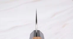 Nigara Kiritsuke-Gyuto SG2 Tsuchime Wa 240mm (9.4") -Sharp Edge Shop NigaraKiritsuke GyutoSG2TsuchimeWa240mm 420103161317 3