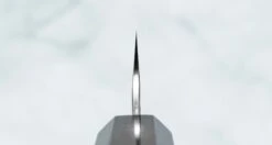 Nigara Kiritsuke-Sujihiki SG2 Tsuchime Wa Ebony 255mm (10") -Sharp Edge Shop NigaraKiritsukeSujihikiSG2MigakiTsuchime255mm 420121181531 3