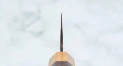 Saji Gyuto VG-10 Gold RWO 210mm (8.3") -Sharp Edge Shop SajiGyutoVG 10GoldRWO210mm 410103121519 3