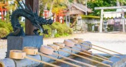 Senzo Dawn Limited Edition Gyuto SG2 Damascus 200mm (7.9") -Sharp Edge Shop SenzoDawnLimitedEdition 180107071566 180103111565 21 9b436255 3635 4870 b8c4 ff1adcccebae