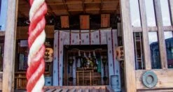 Senzo Dawn Limited Edition Petty SG2 Damascus 150mm (5.9") -Sharp Edge Shop SenzoDawnLimitedEdition 180107071566 180103111565 23