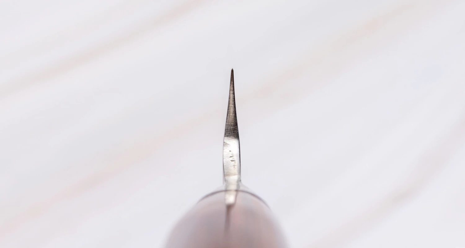 Tamahagane "TSUBAME" Sashimi-Slicer 270mm (10.6") 3 Tamahagane "TSUBAME" Sashimi-Slicer 270mm (10.6") - Image 3