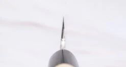 Tanaka Yanagiba Silver [Buffalo] 210mm (8.3") -Sharp Edge Shop TanakaYanagibaGinsankoBuffalo210mm 060113121335 3