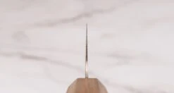 Tojiro Kiritsuke Gyuto Reppu SG2 210mm (8.3") -Sharp Edge Shop TojiroKiritsukeGyutoReppuSG2210mm 010103121615 3