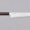 Tsunehisa Gyuto VG-10 Damascus Tsuchime 210mm (8.3") -Sharp Edge Shop Tsunehisa Tsuchime Gyuto 210 410103121315 1 NEW